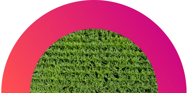 B2x Case Study Hardware Lifecycle Solutions - Desktop Light Images for Desktop